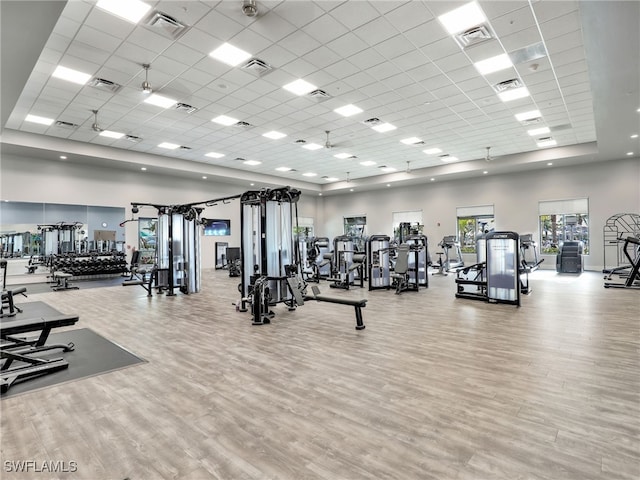 workout area featuring a drop ceiling, light hardwood / wood-style floors, and a high ceiling