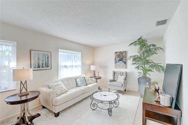 living room featuring a textured ceiling