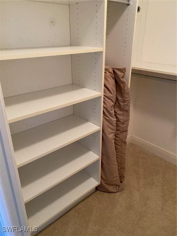 walk in closet with carpet floors