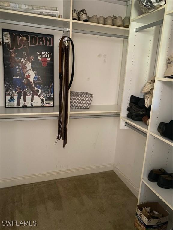 spacious closet featuring dark colored carpet