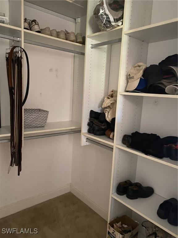 view of walk in closet