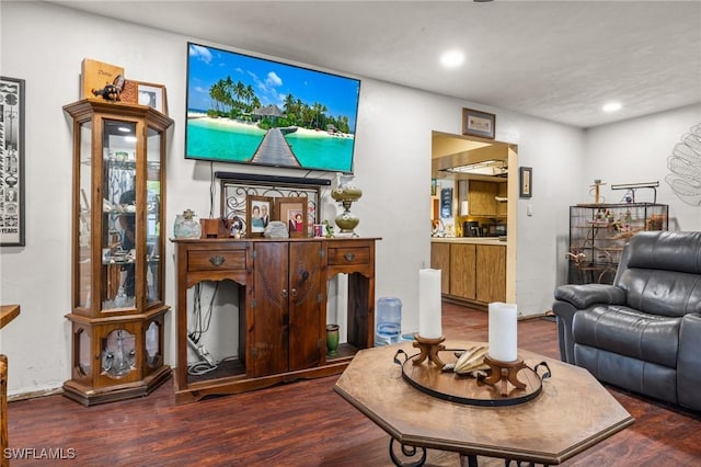 living room with dark wood-type flooring