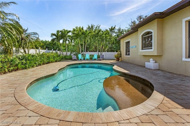 view of swimming pool with a patio