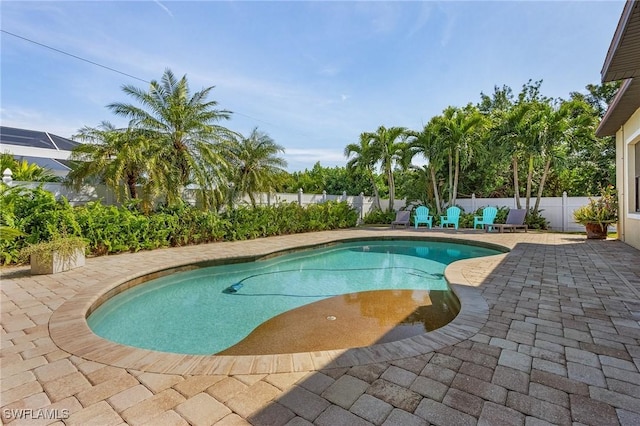 view of pool featuring a patio area