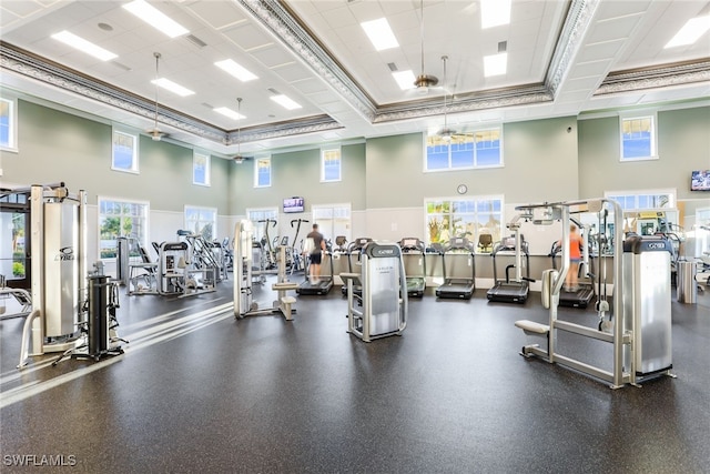 exercise room with a healthy amount of sunlight and a towering ceiling