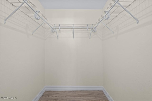 walk in closet with wood-type flooring