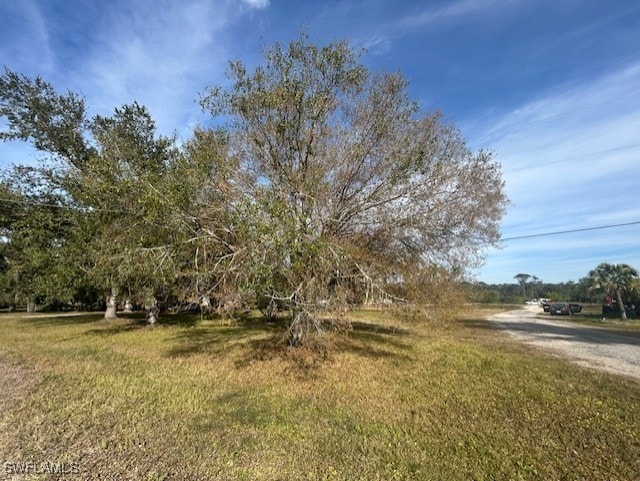 view of yard