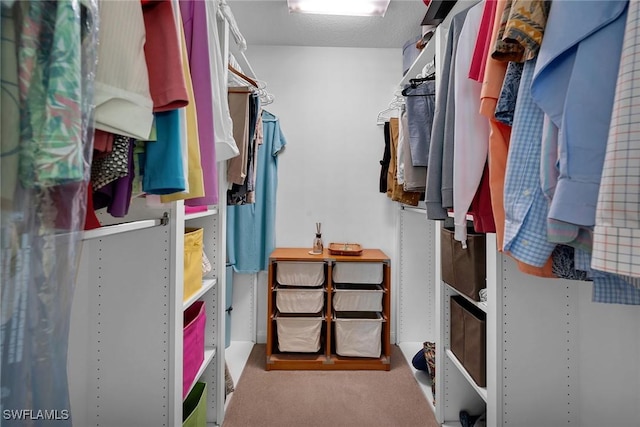 spacious closet with carpet