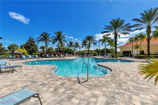 view of pool featuring a patio