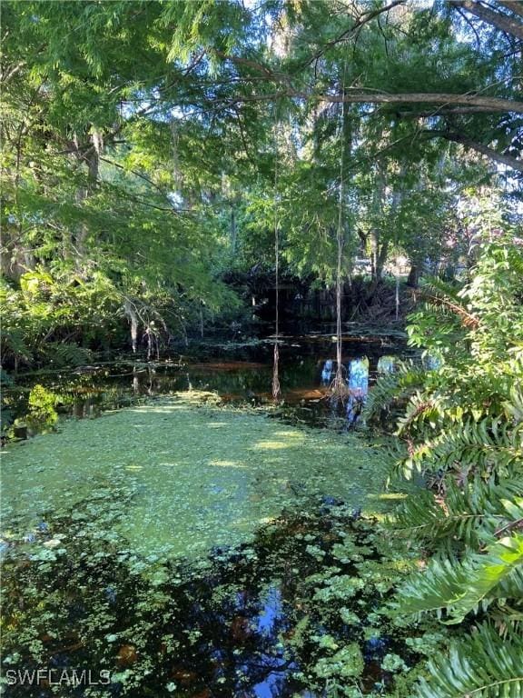 15323 E State Road 78, Okeechobee, FL 34974 - view of yard