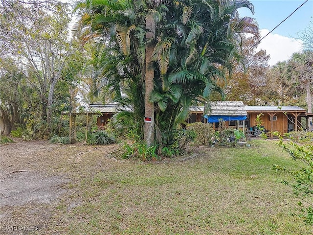 15323 E State Road 78, Okeechobee, FL 34974 - view of yard