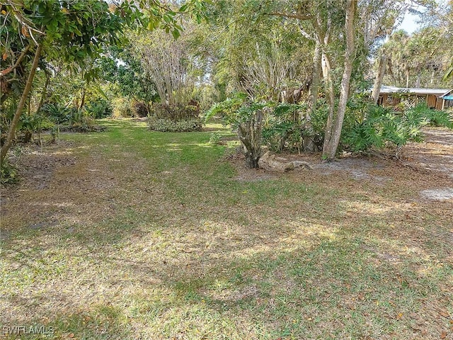 15323 E State Road 78, Okeechobee, FL 34974 - view of yard
