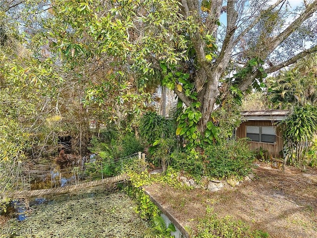 15323 E State Road 78, Okeechobee, FL 34974 - view of yard