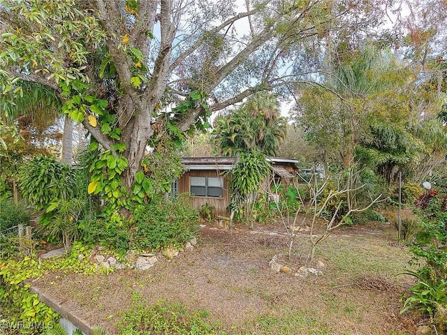 15323 E State Road 78, Okeechobee, FL 34974 - view of yard