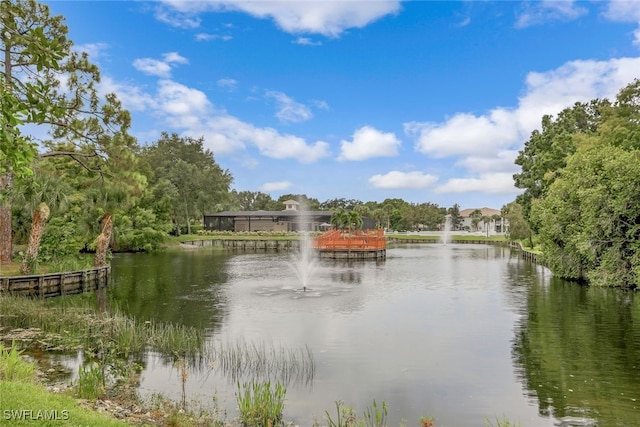 property view of water