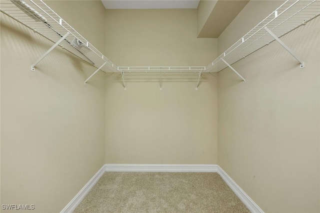 walk in closet with carpet