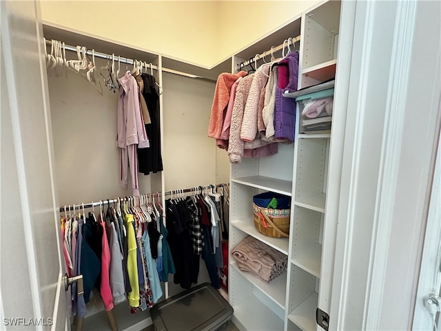 view of spacious closet