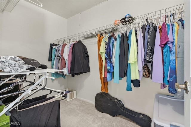 spacious closet with carpet