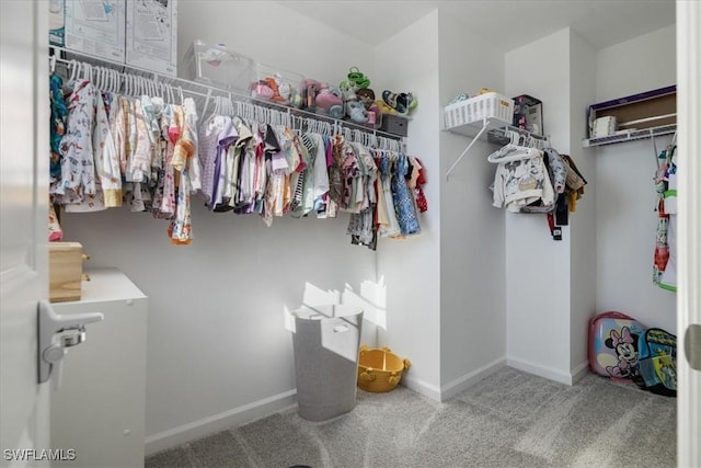 spacious closet with carpet floors