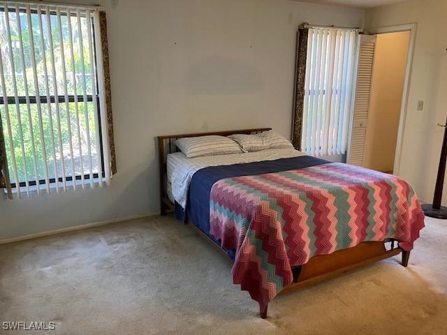 bedroom with carpet and multiple windows