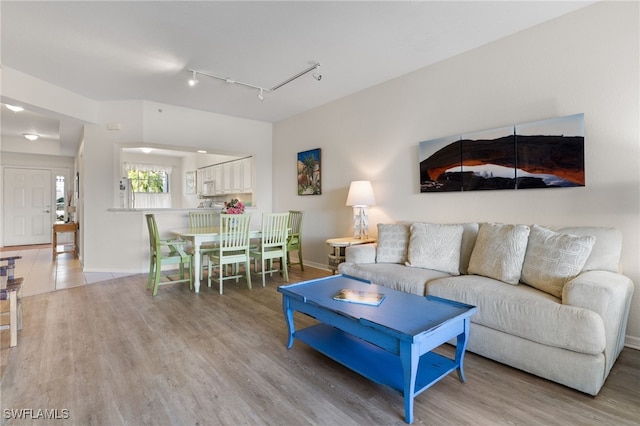 living room featuring hardwood / wood-style floors and track lighting