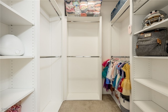 spacious closet featuring light carpet