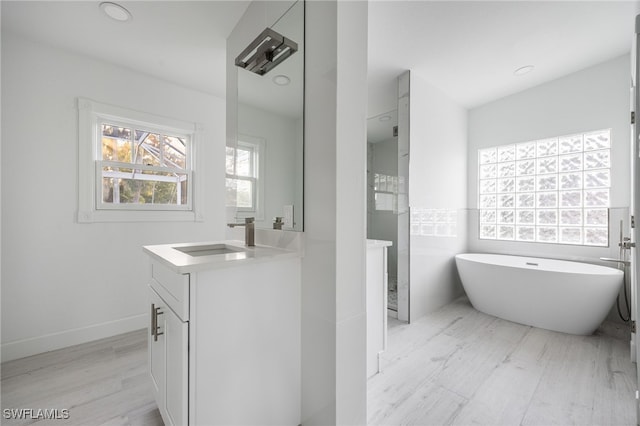 bathroom with vanity, a bathing tub, and wood-type flooring