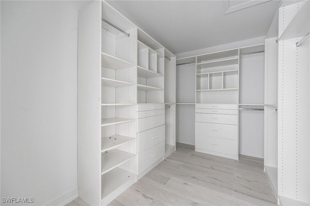 spacious closet featuring light wood-type flooring