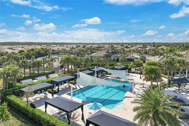 view of swimming pool with a patio area