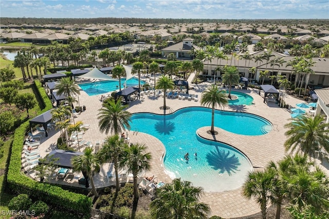 view of pool featuring a patio