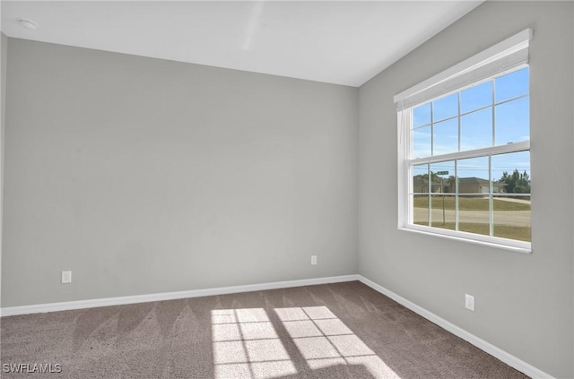 empty room featuring carpet flooring