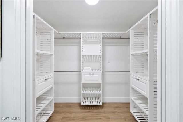 spacious closet featuring light hardwood / wood-style floors