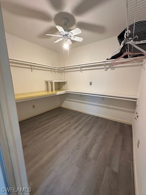 spacious closet featuring hardwood / wood-style flooring and ceiling fan