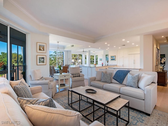 living room featuring a tray ceiling, light hardwood / wood-style flooring, and ornamental molding