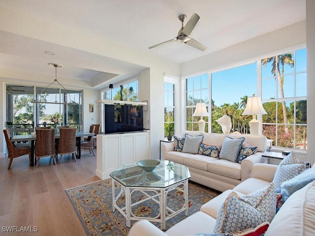 living room with ceiling fan, plenty of natural light, light wood-type flooring, and a tray ceiling