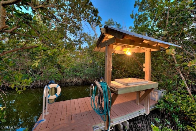 dock area with a water view