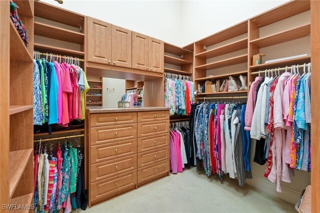 walk in closet with light colored carpet