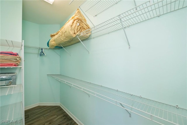 spacious closet featuring dark hardwood / wood-style floors