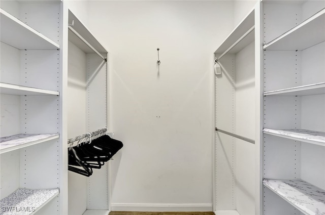 view of walk in closet