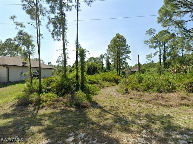 2919 Connie Ave N, Lehigh Acres FL, 33971 land for sale