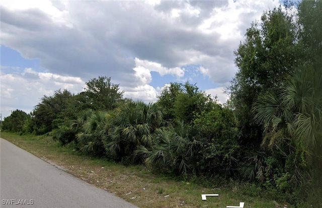 302 Pinehurst Ave, Lehigh Acres FL, 33974 land for sale