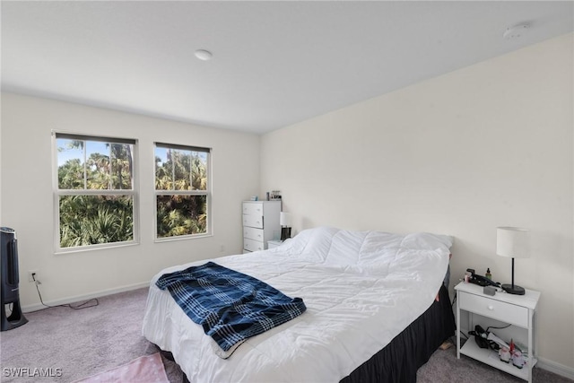 bedroom with carpet floors