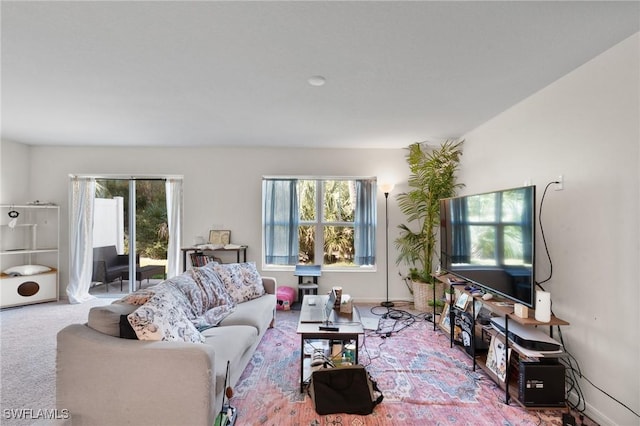 living room featuring carpet flooring