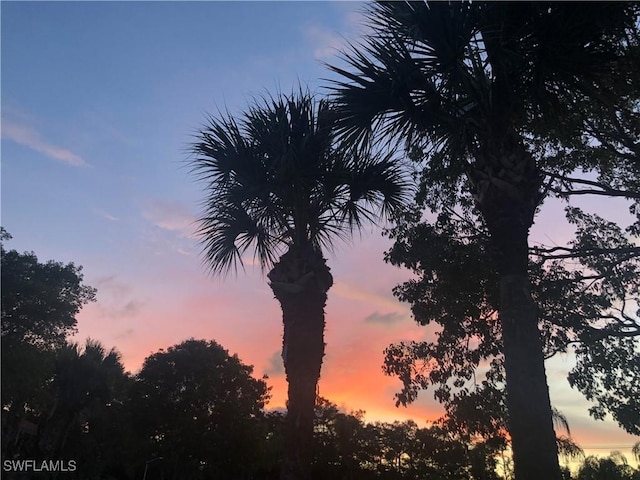 view of nature at dusk