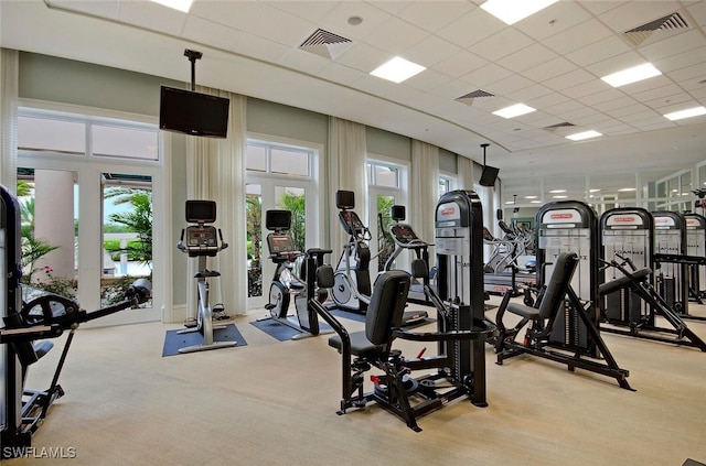 exercise room featuring light carpet, a wealth of natural light, and a paneled ceiling