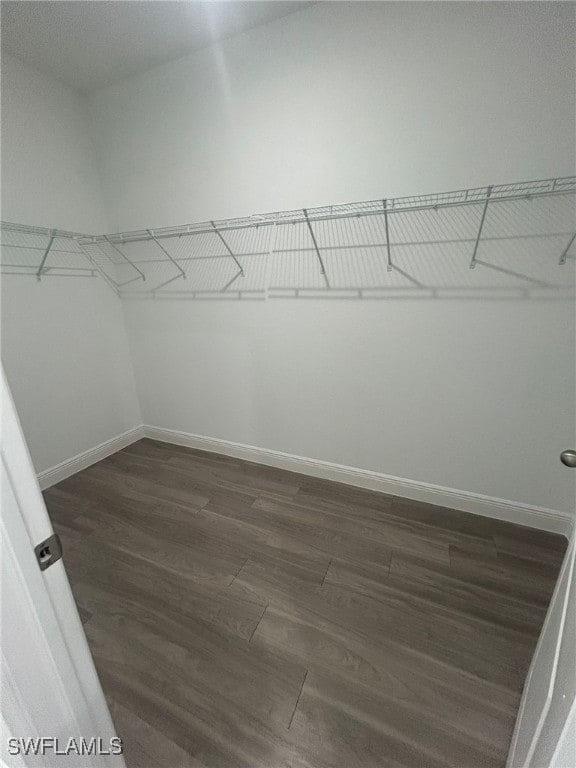 spacious closet featuring dark hardwood / wood-style flooring