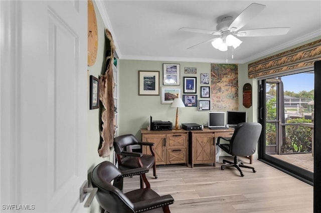 office space with ornamental molding, light hardwood / wood-style floors, and ceiling fan