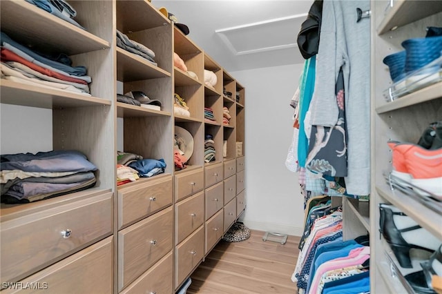 spacious closet featuring light hardwood / wood-style floors