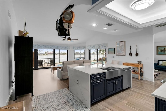 kitchen featuring a tray ceiling, light hardwood / wood-style floors, sink, and a center island with sink