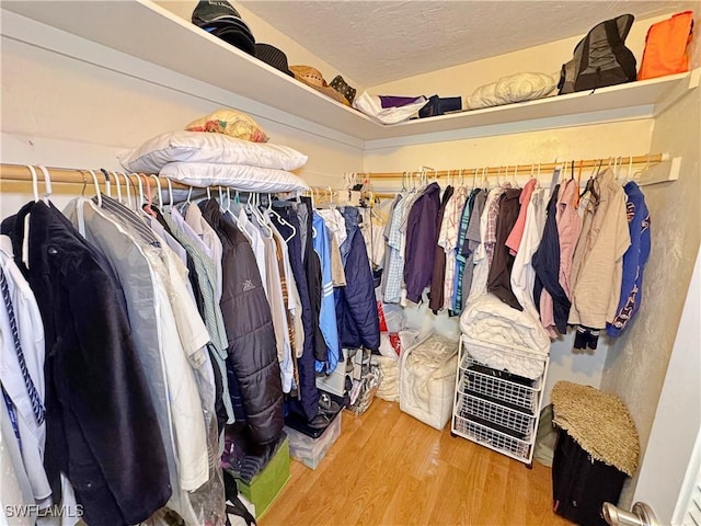 spacious closet with wood-type flooring